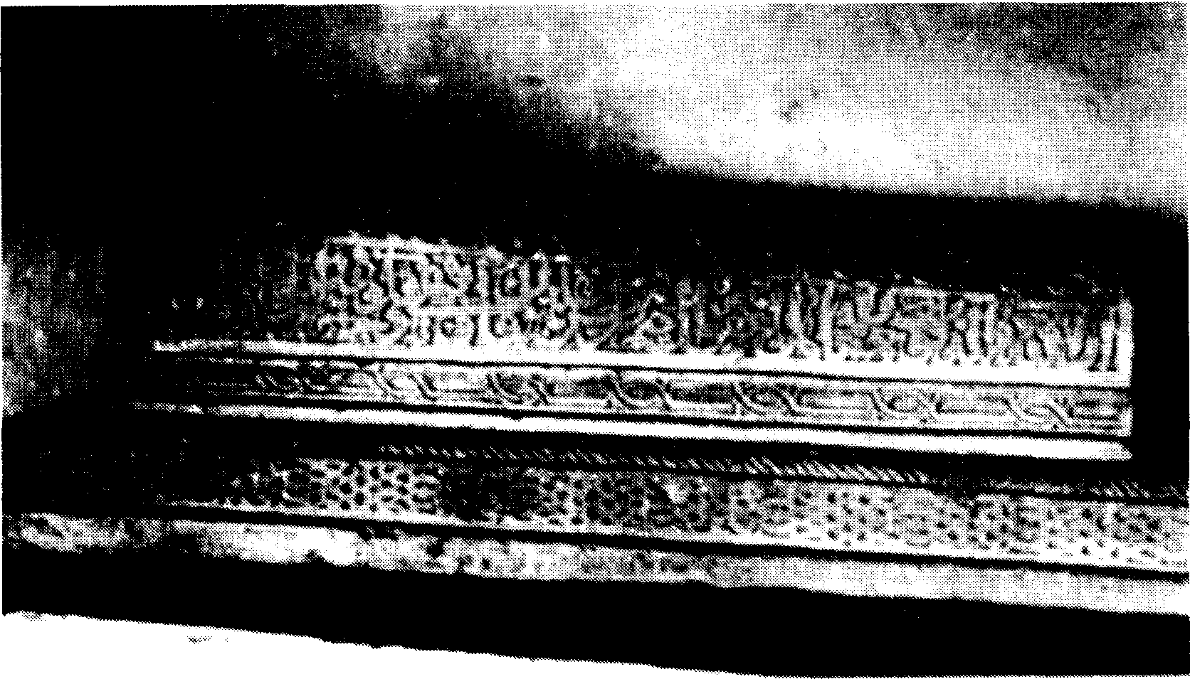 Надгробная плита на могиле дочери Токтамыша. Снимок 1880 г. Для издания снимок предоставлен тюркологом Д.Д. Васильевым